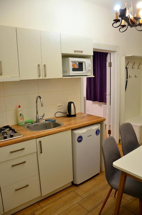 Brand New Apartment In City Center 利沃夫 外观 照片